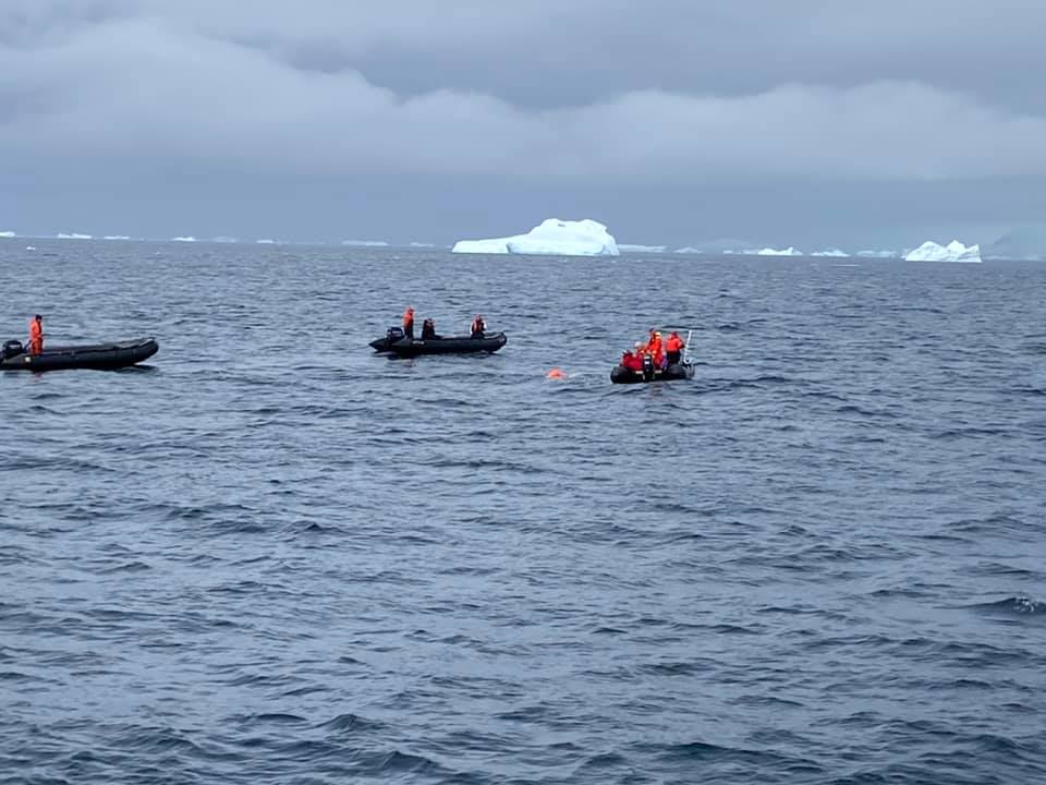 Paul Georgescu - inot Antarctica