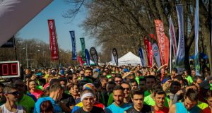 Concurs alergare padurea Baneasa