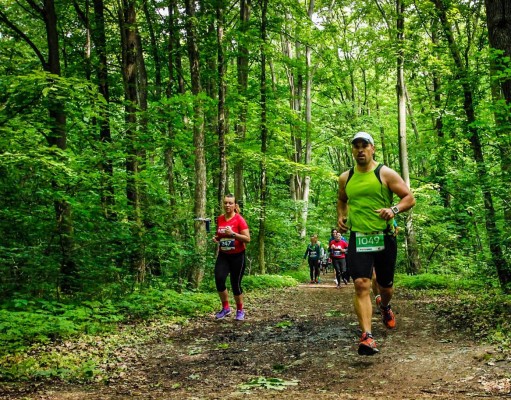 Baneasa Trail Run 2016 - ultmii km prin padure
