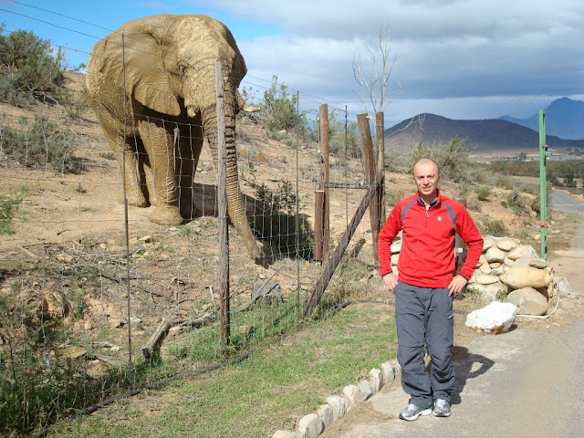 Andrei Rosu, Africa de Sud