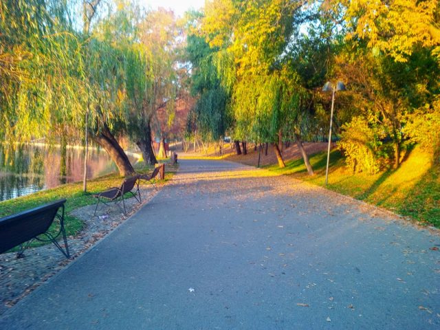 Antrenament dimineata - parcul IOR