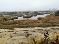 Parcul Vacaresti 2019 - foto Biciclistul.ro