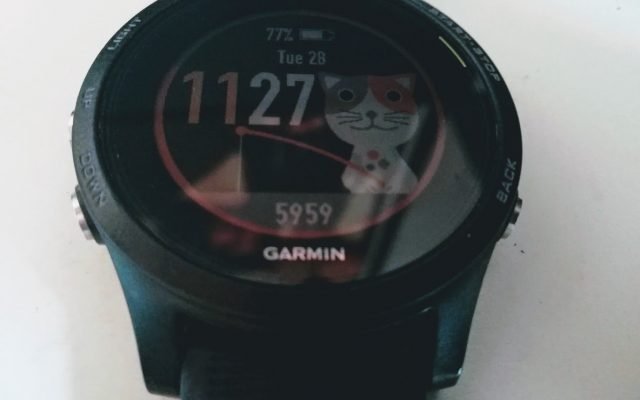 Garmin Forerunner 935 - face
