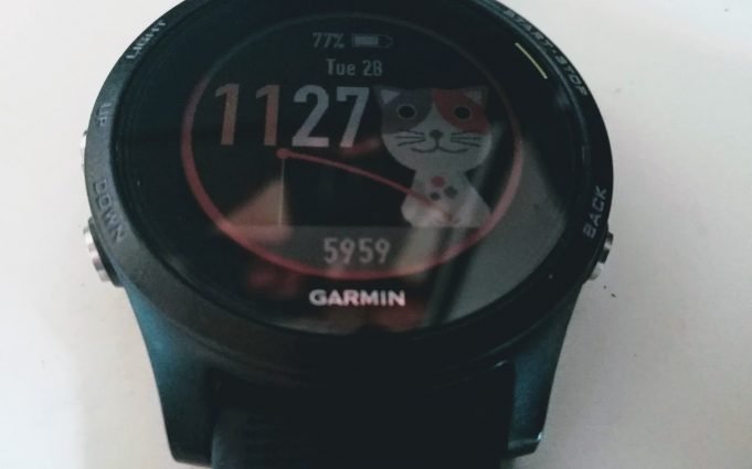 Garmin Forerunner 935 - face